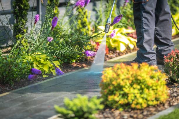 Best Driveway Pressure Washing  in Elkader, IA